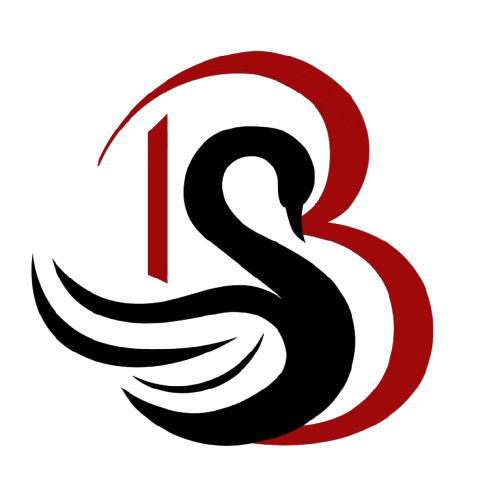 Black Swan Leadership Advisory